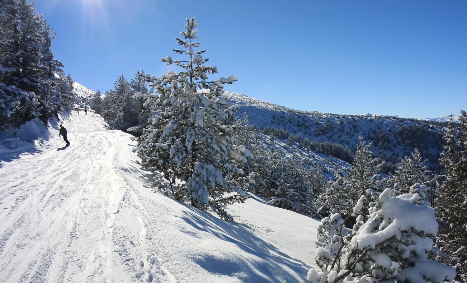 Pm Services Borovets Garden Apartments Dış mekan fotoğraf