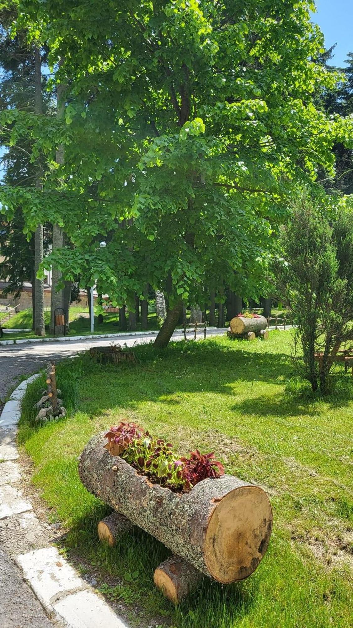 Pm Services Borovets Garden Apartments Dış mekan fotoğraf