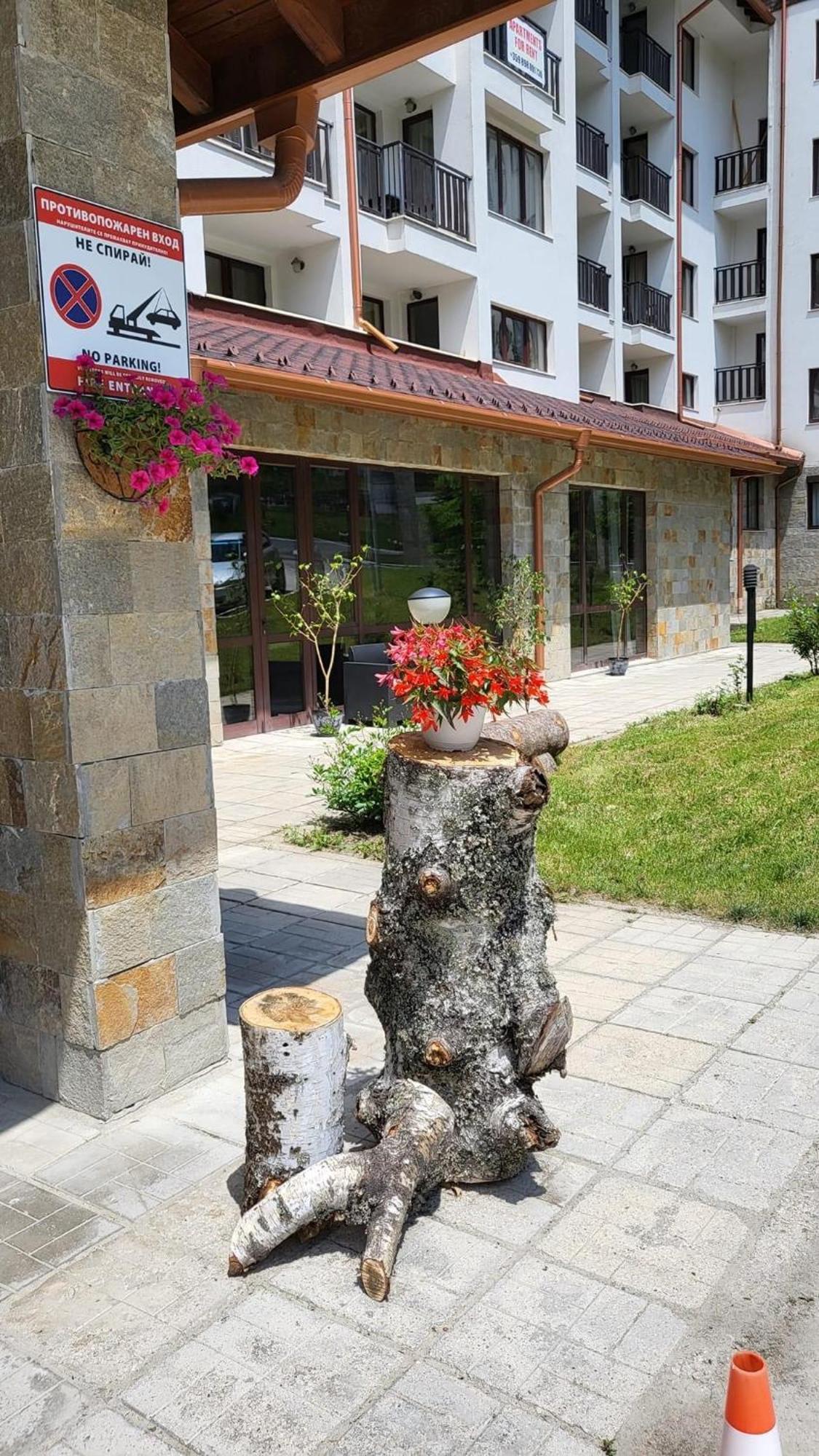 Pm Services Borovets Garden Apartments Dış mekan fotoğraf